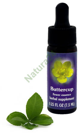 FES Buttercup 7,5 ml krople