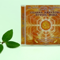 Płyty CD