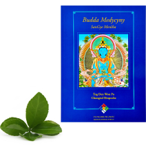 Książki z naukami udzielonymi przez Chongtula Rinpoche