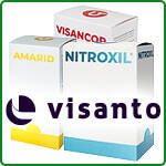 Visanto