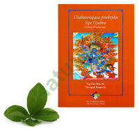 Książka - Uzdrawiająca praktyka Sipe Gyalmo - Królowej Wszechświata -50%