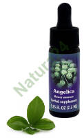 FES Angelica 7,5 ml krople