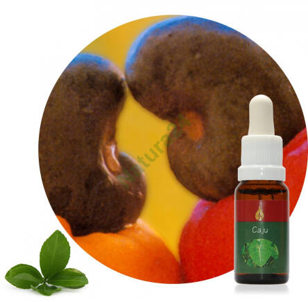 Caju  Ararêtama Rainforest Essences ARF01025