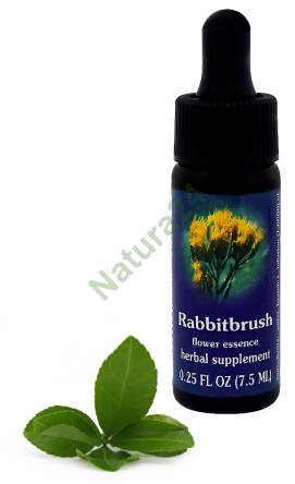 FES Rabbitbrush 7,5 ml krople