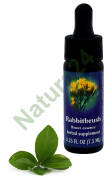 FES Rabbitbrush 7,5 ml krople