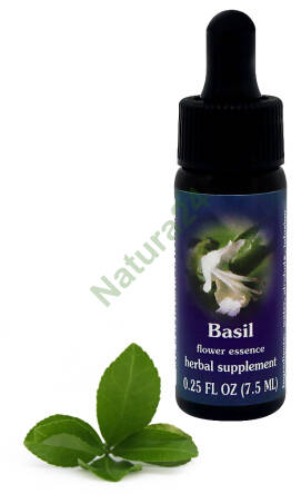 FES Basil 7,5 ml krople