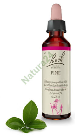 24. PINE / Sosna 20 ml Nelson Bach Original Flower Remedies deutsch