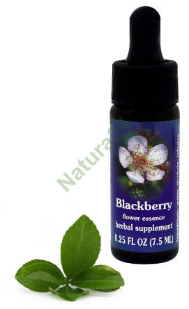 FES Blackberry 7,5 ml krople