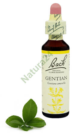 12. GENTIAN / Goryczka gorzkawa 20 ml Nelson Bach Original Flower Remedies