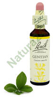 12. GENTIAN / Goryczka gorzkawa 20 ml Nelson Bach Original Flower Remedies