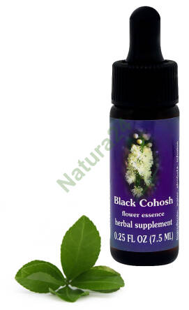 FES Black Cohosh 7,5 ml krople