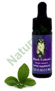 FES Black Cohosh 7,5 ml krople