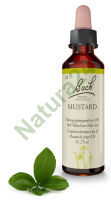 21. MUSTARD / Gorczyca polna 20 ml Nelson Bach Original Flower Remedies deutsch