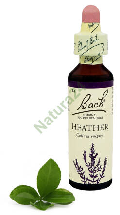 14. HEATHER / Wrzos pospolity 20 ml Nelson Bach Original Flower Remedies