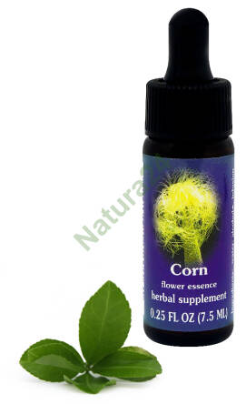 FES Corn 7,5 ml krople