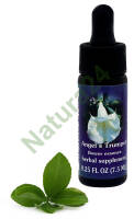 FES Angel’s Trumpet 7,5 ml krople