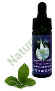 FES Angel’s Trumpet 7,5 ml krople