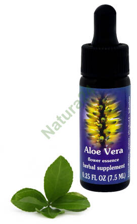 FES Aloe Vera 7,5 ml krople