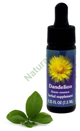FES Dandelion 7,5 ml krople