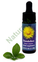 FES Dandelion 7,5 ml krople