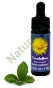 FES Dandelion 7,5 ml krople