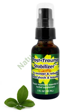 FES Post-Trauma Stabilizer Powrót do zdrowia i odbudowa po szoku i traumie 30 ml spray