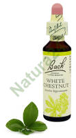 35. WHITE CHESTNUT / Kasztanowiec zwyczajny 20 ml Nelson Bach Original Flower Remedies