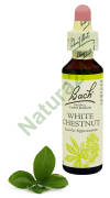 35. WHITE CHESTNUT / Kasztanowiec zwyczajny 20 ml Nelson Bach Original Flower Remedies