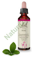 24. PINE / Sosna 20 ml Nelson Bach Original Flower Remedies deutsch