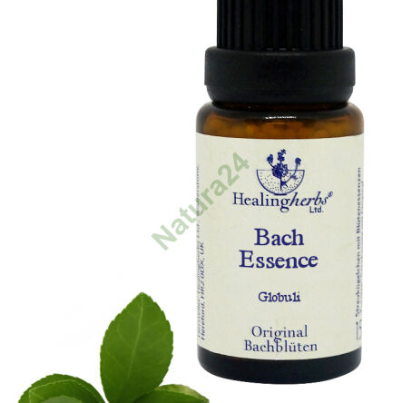 15. HOLLY / Ostrokrzew kolczasty 10/30 ml lub globulki 15 g - 2