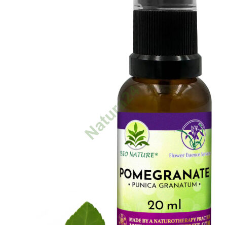 069. Pomegranate - Kompozycja FES 20ml - 2