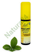 Bach RESCURA® w sprayu bez alkoholu 20 ml