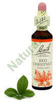 25. RED CHESTNUT / Kasztanowiec czerwony 20 ml Nelson Bach Original Flower Remedies