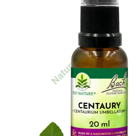 04. CENTAURY / Tysiącznik pospolity - Kompozycja Bach Original Flower Remedies Nelson 20ml - 2