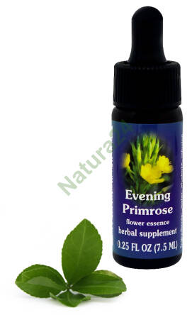 FES Evening Primrose 7,5 ml krople