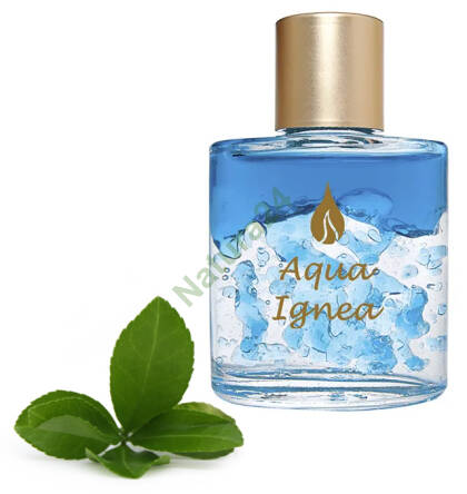 Aqua Ígnea Azul (niebieski) 30 ml ARF03002