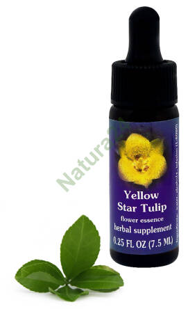 FES Yellow Star Tulip 7,5 ml krople