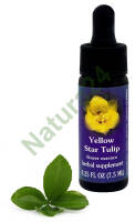 FES Yellow Star Tulip 7,5 ml krople