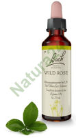 37. WILD ROSE / Dzika róża 20 ml Nelson Bach Original Flower Remedies deutsch