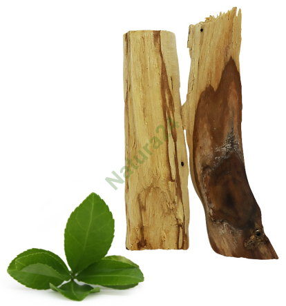 PALO SANTO Kadzidło Święte drzewo Indian ok 25g
