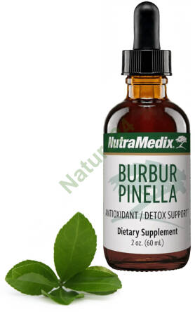 Burbur-Pinella Nutramedix 60ml
