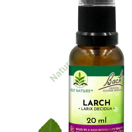 19. LARCH / Modrzew europejski - Kompozycja Bach Original Flower Remedies Nelson 20ml - 2