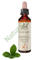 26. ROCK ROSE / Posłonek kutnerowaty 20 ml Nelson Bach Original Flower Remedies deutsch
