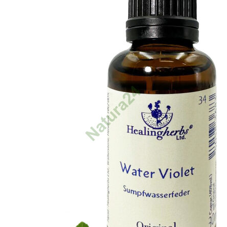 34. WATER VIOLET / Okrężnica bagienna/ Fiołek 10/30 ml lub globulki 15 g - 3