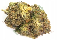Susz konopny CBD Carmagnola Indoor  1g