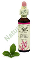 30. SWEET CHESTNUT / Kasztan jadalny 20 ml Nelson Bach Original Flower Remedies