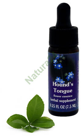FES Hound’s Tongue 7,5 ml krople