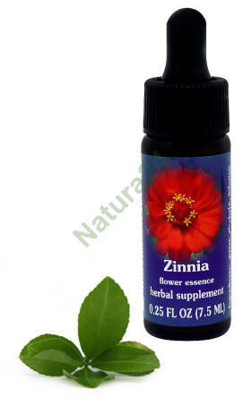 FES Zinnia 7,5 ml krople