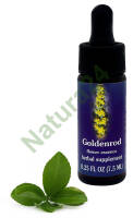 FES Goldenrod 7,5 ml krople