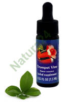 FES Trumpet Vine 7,5 ml krople